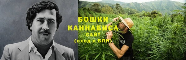 гидра Балахна