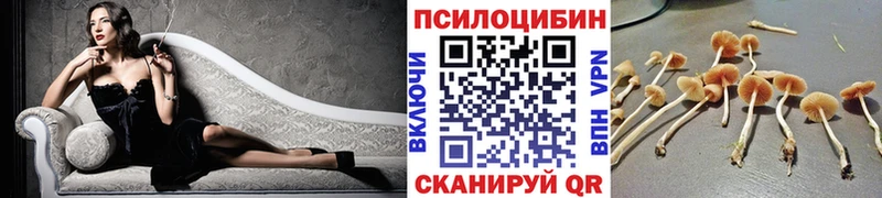Галлюциногенные грибы GOLDEN TEACHER  Микунь 
