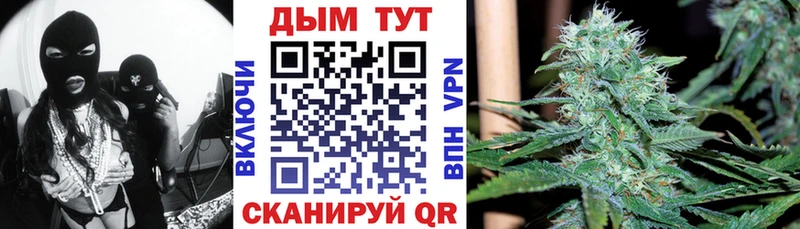 Бошки Шишки сатива Микунь